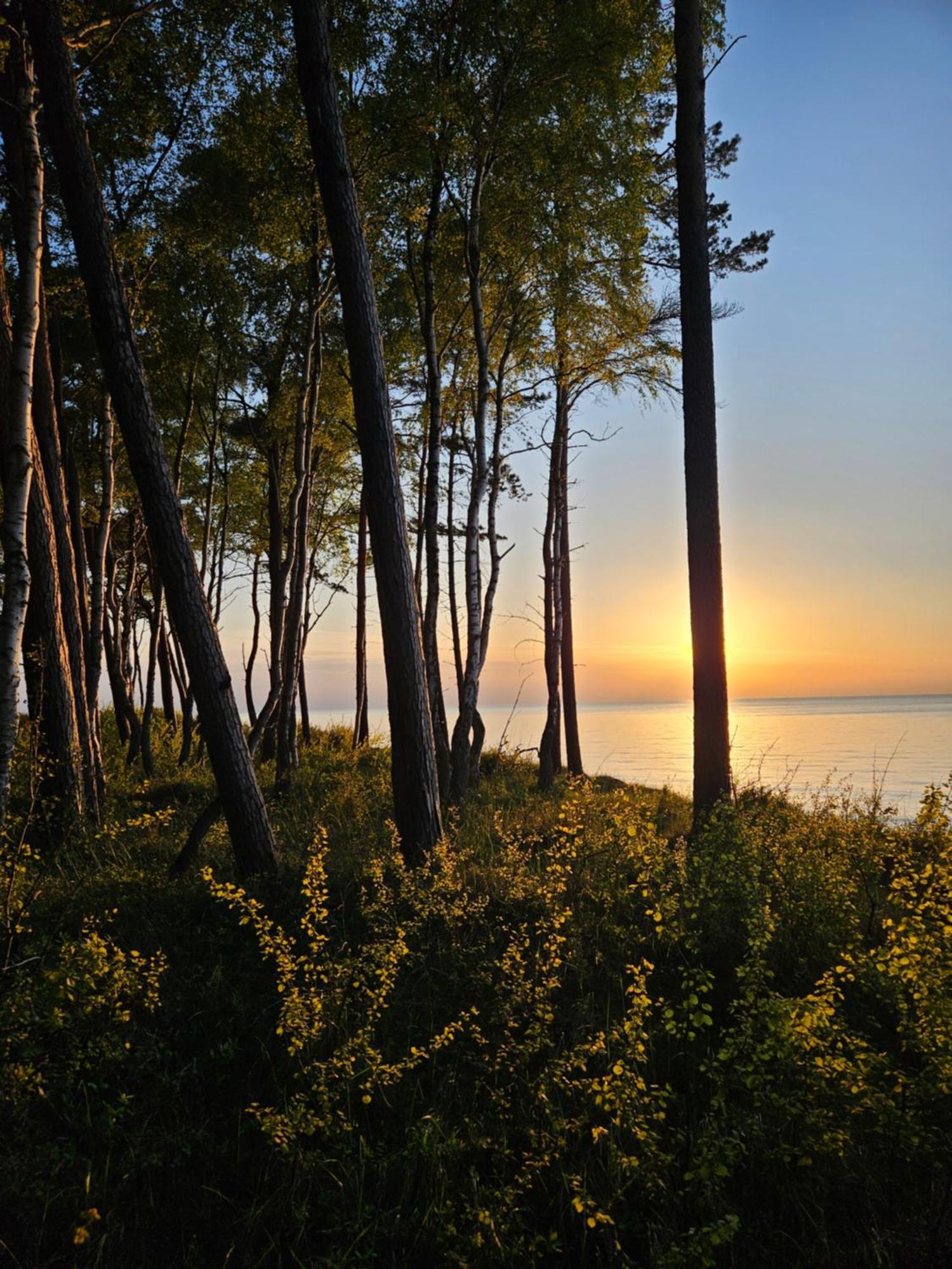 Baltic Nature วูแคนชิน ภายนอก รูปภาพ